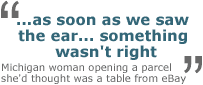 _42640851_ear_quote.gif