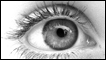 Ojo