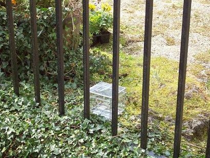 glassbars.JPG