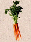 Carrots