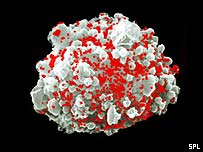 Célula infectada pelo vírus HIV